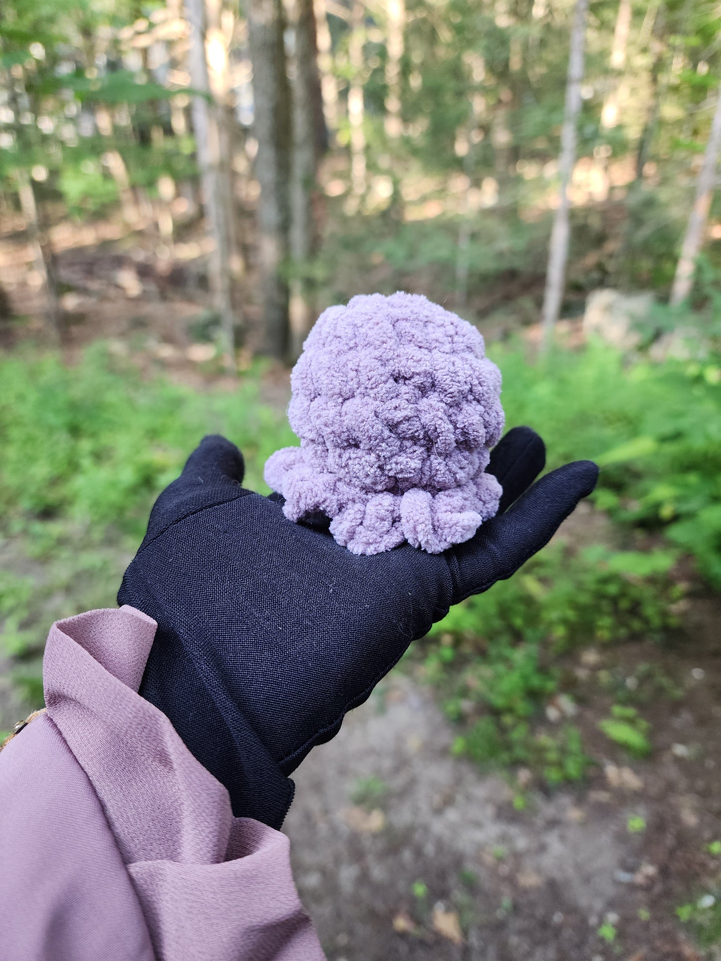 Octoboi | Crochet Plush | Stress Toy | Decor